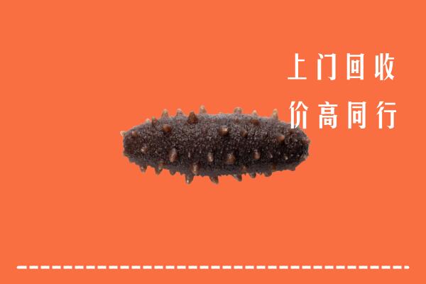 睢县回收海参